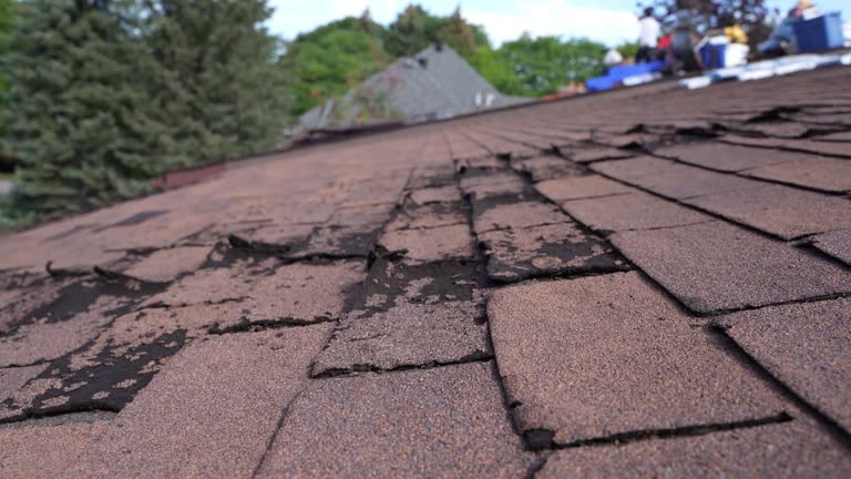 Trusted Galesburg, MI Roofing Services Experts